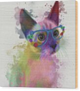 Rainbow Splash Cat 2 #1 Wood Print