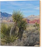 Red Rock Canyon National Conservation Area #1 Wood Print