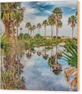 Reflections Of Palm Trees On Hunting Island South Carolina #1 Wood Print