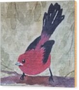 Scarlet Tanager #1 Wood Print