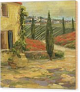 Scenic Italy V #1 Wood Print