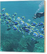 Scuba Diver With Camera #1 Wood Print