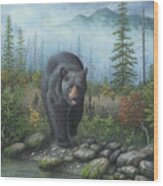Smoky Mountain Black Bear #1 Wood Print