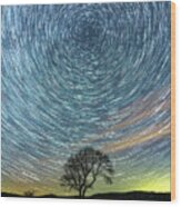Star Trails At The Lonely Tree On The Limestone Pavement #1 Wood Print