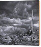 Stormy Desert Skies In Black And White  #1 Wood Print