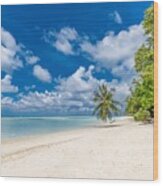 Tropical Beach Background As Summer #1 Wood Print