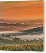 Tuscany Landscape #1 Wood Print
