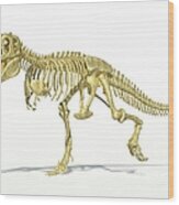 Tyrannosaurus Rex Skeleton, Artwork #1 Wood Print