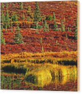 Usa, Alaska, Denali National Park #1 Wood Print