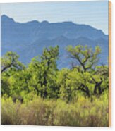 Usa, New Mexico Sandia Mountains #1 Wood Print