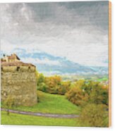 Vaduz Castle, Leichtenstein Wood Print