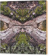 -  Watcher In The Wood #2 - Human Face And Eyes Hiding In Mirrored Tree Feature - Green Man Wood Print