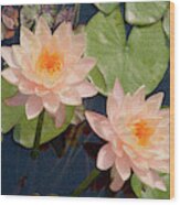 Water Lotus #1 Wood Print