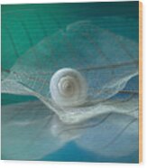 White Snail #1 Wood Print