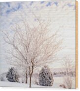 Winter Scene In Central Kentucky #1 Wood Print