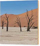 Deadvlei #10 Wood Print