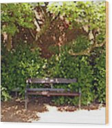 11/05/19 Chorley. Astley Hall. Walled Garden. Sunlit Bench. Wood Print
