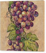 13932 Vintage Grapevine Ii Wood Print