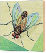 Insect #16 Wood Print