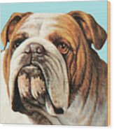 Bulldog #18 Wood Print