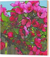 Apple Blossoms #2 Wood Print