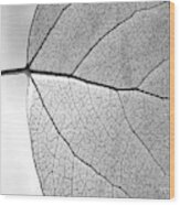 Aspen Leaf Veins #2 Wood Print