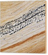 Bristlecone Pine Texture #2 Wood Print