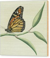 Butterfly Wood Print