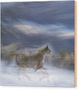 Gallop In The Snow #2 Wood Print