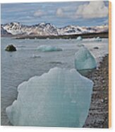 Glacier Ice Along Shoreline 14th July #2 Wood Print