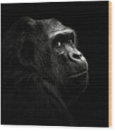 Gorilla #2 Wood Print