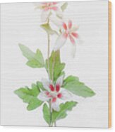 Hibiscus #2 Wood Print