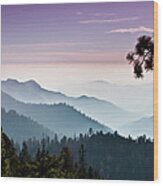 Mist On The Sierra Nevada Mountains #2 Wood Print