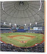 New York Yankees V Tampa Bay Rays #2 Wood Print