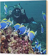Scuba Diver With Camera #2 Wood Print