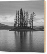Silver Lake #2 Wood Print