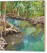 Thailand - Krabi Province, Mangrove #2 Wood Print