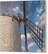 Windmills Of Don Quijote In La Mancha_spain #2 Wood Print