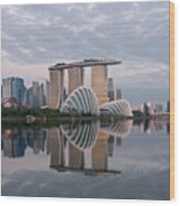 Singapore Business District Skyline #20 Wood Print