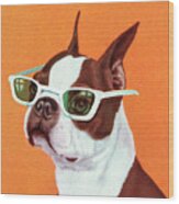 Boston Terrier #22 Wood Print