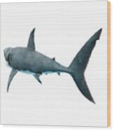 Great White Shark #22 Wood Print