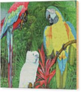 3 Parrots Wood Print