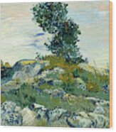 The rocks van gogh hotsell
