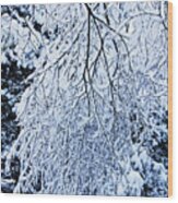 30/01/19  Rivington. Snow Covered Branches. Wood Print
