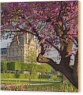 Jardin Des Tuileries Wood Print