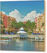 Naples Florida #4 Wood Print