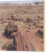 Petrified Forest National Park #4 Wood Print