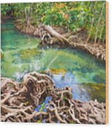 Thailand - Mangrove Forest In Tha Pom #4 Wood Print