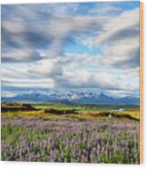 Typical Iceland Landscape #4 Wood Print