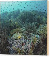 A Beautiful Coral Reef Thrives #47 Wood Print
